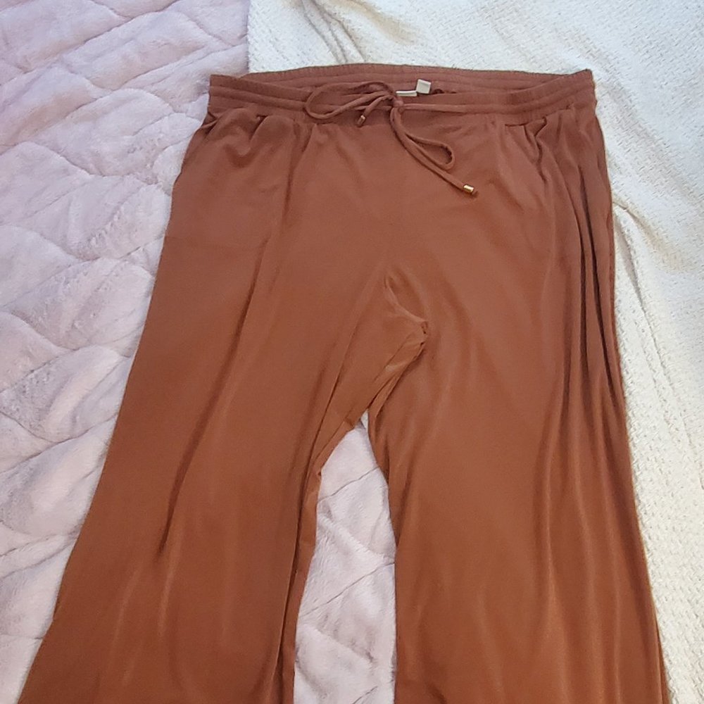 Cato Brand, 22/24W Burnt orange pants